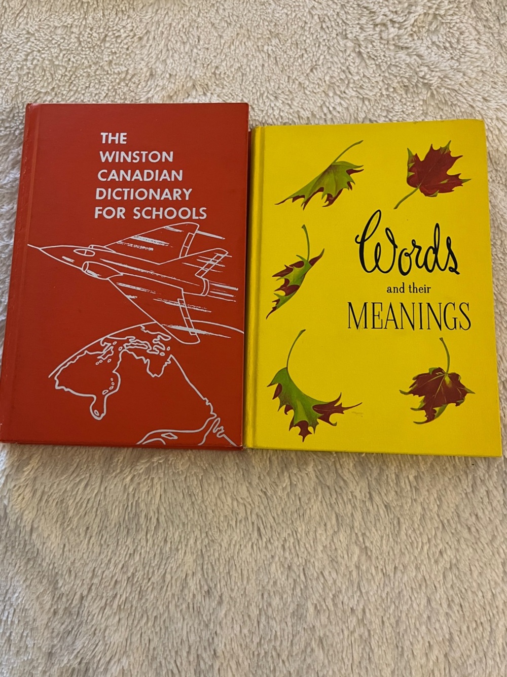 Pair of Vintage School Dictionaries